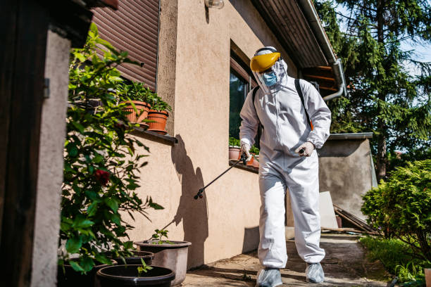 Best Termite Control Services  in Johnstown, NY