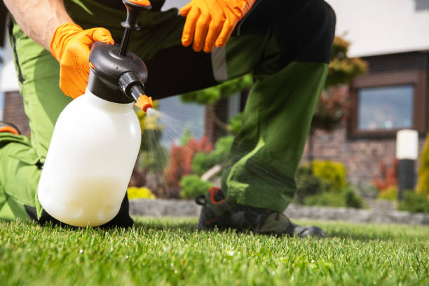 Best Flea Control Services  in Johnstown, NY