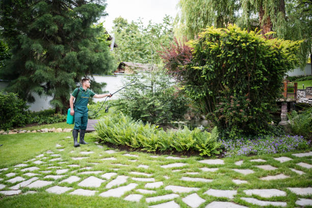 Best Ant Control Services  in Johnstown, NY