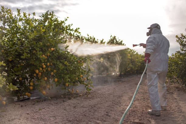 Best Termite Control Services  in Johnstown, NY