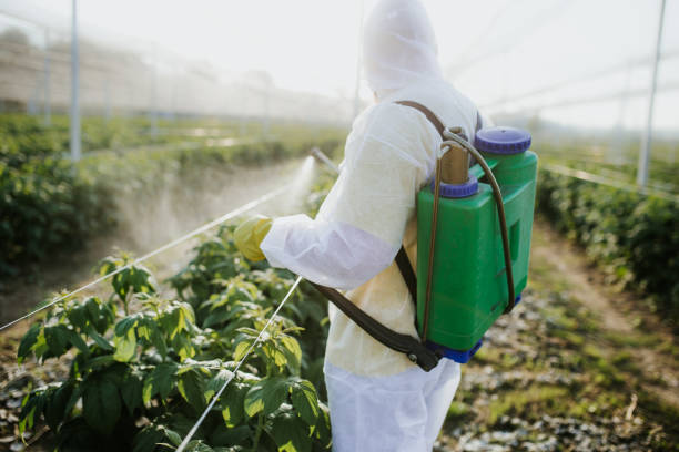 Best Pest Removal Services  in Johnstown, NY